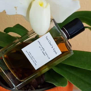 Orchidée Vanille by Van Cleef & Arpels