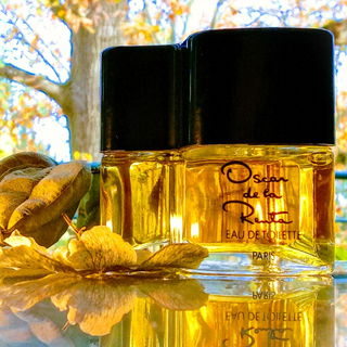 der Duft ist von Anfang bis Ende hell, auch über die längere Bibi-Strecke 🦫😊 genießen wir das Herbstgold nach unseres Herzens Lust💛