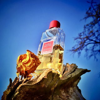 Habit Rouge (Eau de Parfum) - Guerlain