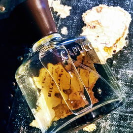 Capucci pour Homme (Eau de Toilette) - Roberto Capucci