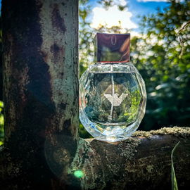 Emporio Armani - Diamonds (Eau de Parfum) - Giorgio Armani