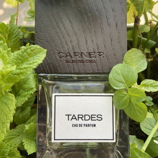 Tardes (Eau de Parfum) by Carner