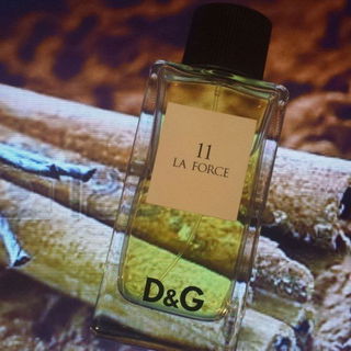 11 La Force by Dolce & Gabbana