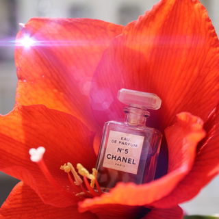 N°5 (Eau de Parfum) by Chanel