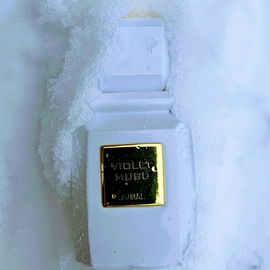 Musk down when it snows