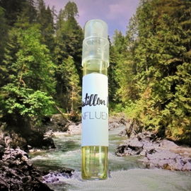 Woodrows Waldplatz (der kleine Fluss)