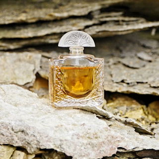 Lalique (Eau de Toilette)