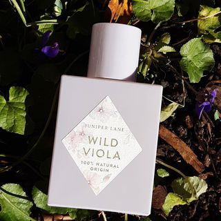 ...Veilchen...siehst du sie?...