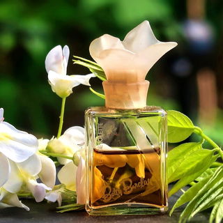 Betty Barclay (Eau de Toilette) - Betty Barclay