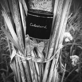 Cabochard (1995) (Eau de Toilette) - Grès