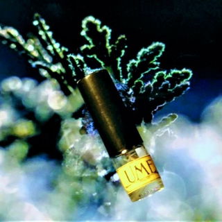 Ume - Euphorium Brooklyn