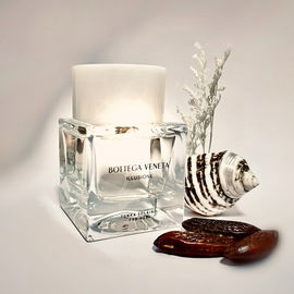 Illusione Tonka Solaire - Bottega Veneta