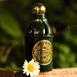 Oud Essentiel - Guerlain