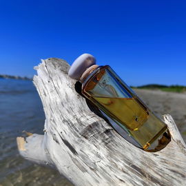 🇮🇹 Isola Delle Conchiglie - Muschelinsel 🐚🐚🐚 Danke für's Vorbeischauen 🤗