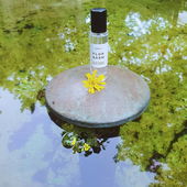 Die haben keine Nervenzellen.Endorphine.Niemals! Doch,sie können.Habe mal eine Pflanze lange gestreichelt und sie hat dann so gequietscht (－‸ლ) Facepalm (von Seejungfrau)