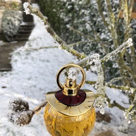 Magic (Eau de Parfum) - Celine
