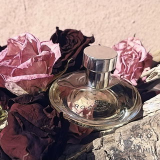 Rosewood - Banana Republic