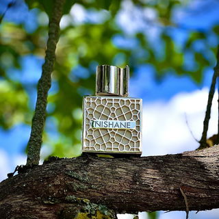 Hacivat Oud - Nishane