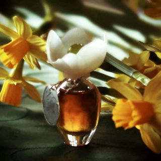Narcisse (Eau de Toilette) - Chloé