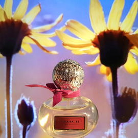 Poppy Flower - Coach