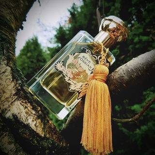 Rêve d'Ossian (2012) von Oriza L. Legrand