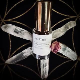 Auf den Schultern Rosenbalsamechsen 🌹🦎🦎 Danke fürs Vorbeischauen im Hexenkessel.