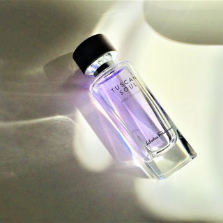 Viola Essenziale (Eau de Toilette) - Salvatore Ferragamo