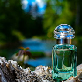 Acqua di Parisis Essenza Intensa - Oud Lumineux - Reyane Tradition