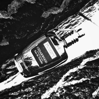 Cedarwood (Eau de Toilette) von The Merchant Of Venice