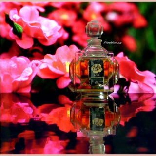 Rose (Eau de Toilette) - Molinard