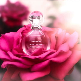 Ein Hauch von Rose, frisch, zart und leicht für unbeschwerte Sommertage.