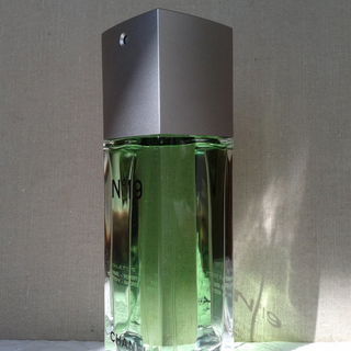 N°19 (Eau de Toilette) von Chanel