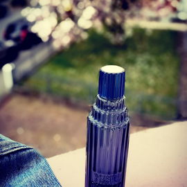 Je Reviens Couture - Worth
