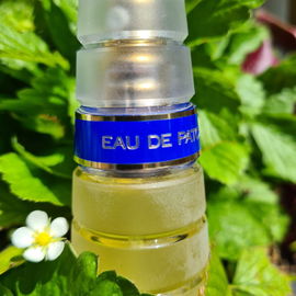 Ein Erdbeerblütchen bewundert das Eau de Patou 💚