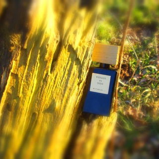 Oriental Essence - Voyage en Inde by Rituals
