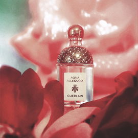 Aqua Allegoria Rosa Rossa - Guerlain