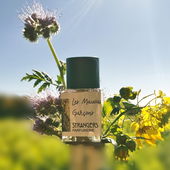 Senfblüte. Das letzte Gelb auf den Äckern. Ganz lieben Dank euch 🤗😘 (by Gandix)