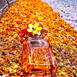 Daisy Eau So Fresh (Eau de Toilette) - Marc Jacobs