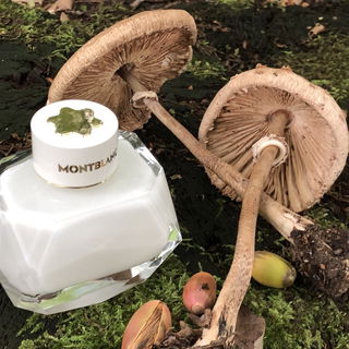 Signature (Eau de Parfum) von Montblanc