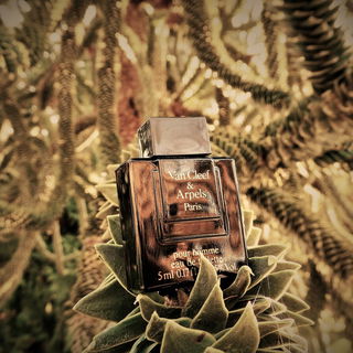 Pour Homme (1978) (Eau de Toilette) by Van Cleef & Arpels