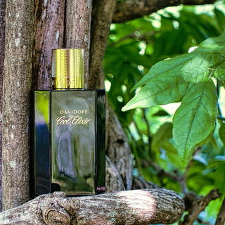 Cool Elixir - Davidoff