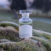 ࿇.•*¨*•. neulich in einer kleinen Mooslandschaft ◈࿇◈ habt alle ein kuscheliges Wochenende bei diesen frostigen Temperaturen ◈࿇◈ ganz lieben Dank für Euren Besuch ◈࿇◈ Eure Kommentare freuen mich wie immer sehr .•*¨*•.࿇ (von Flughörnchen)