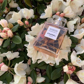 Coco Mademoiselle (Eau de Parfum Intense) von Chanel