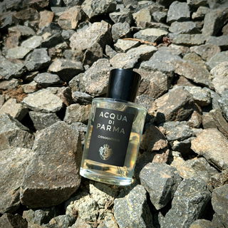 Osmanthus von Acqua di Parma