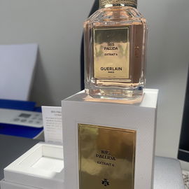 Iris Pallida Extrait 6 - Guerlain