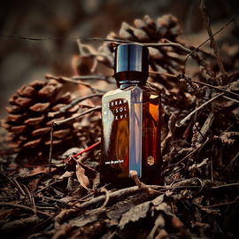 Desert Rosewood - Goldfield & Banks