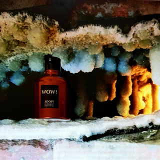 Wow! for Men (Eau de Parfum Intense) - Joop!