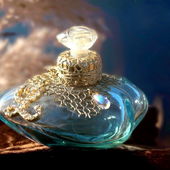 Vielen lieben Dank für die lieben Besuche. Am Fluss in der wundervollen Winter-Abendsonne zeigt er seine volle Schönheit innerlich wie äusserlich. (by Zora)