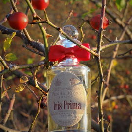 Ellenisia - Penhaligon's