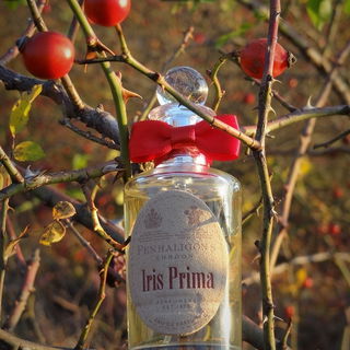 Iris des Champs (Eau de Parfum) - Houbigant